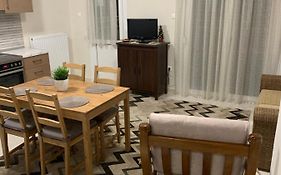 Ανακαινισμένο Διαμέρισμα στο Κέντρο της Λάρισας